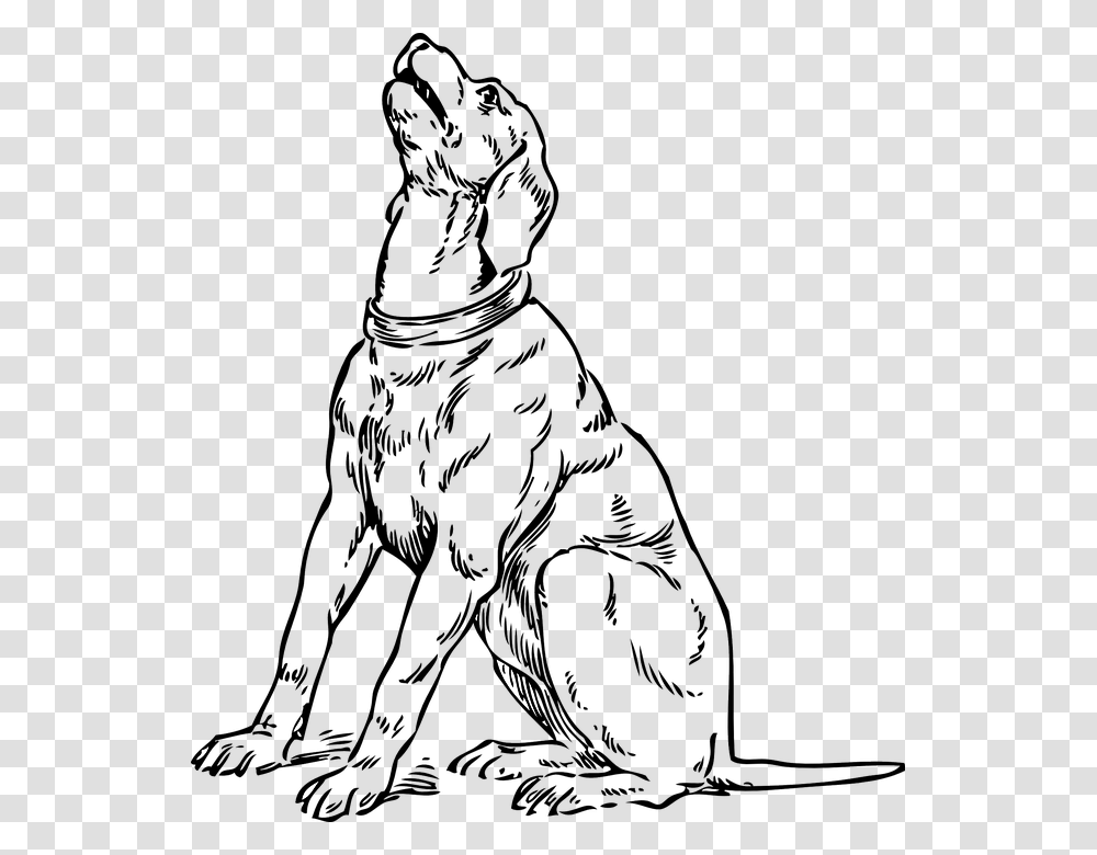 Dog Canine Howl Barking Pet Hound Retriever Barking Dog Coloring Pages, Silhouette, Person, Outdoors, Kneeling Transparent Png