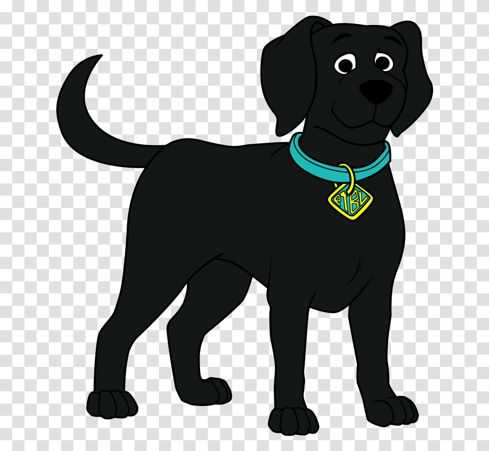 Dog Catches Something, Accessories, Accessory, Collar, Goggles Transparent Png