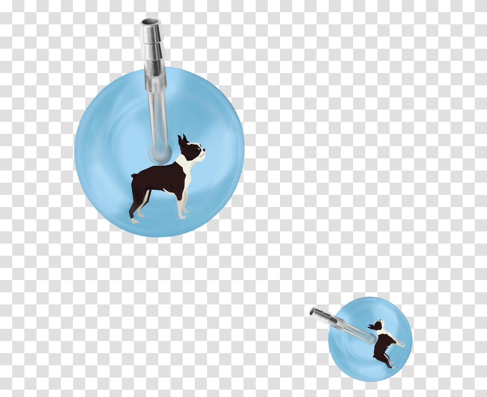 Dog Catches Something, Mammal, Animal, Pet, Canine Transparent Png