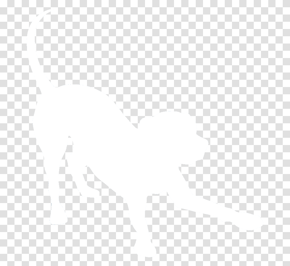 Dog Catches Something, Mammal, Animal, Silhouette, Canine Transparent Png