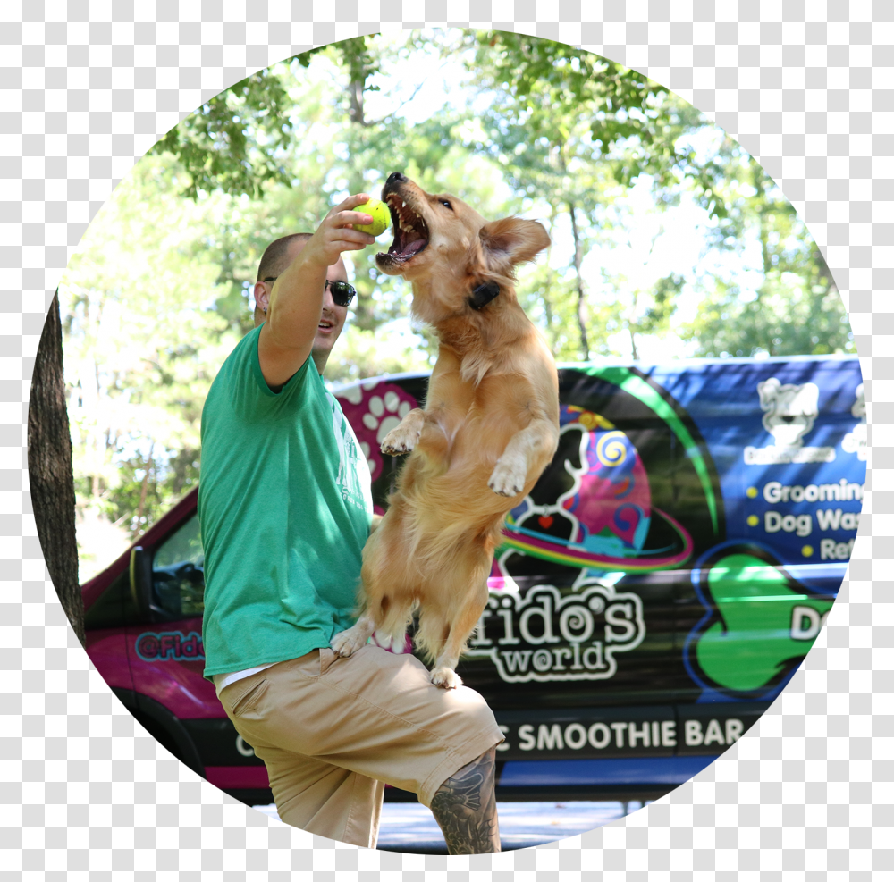 Dog Catches Something, Person, Human, Car, Vehicle Transparent Png