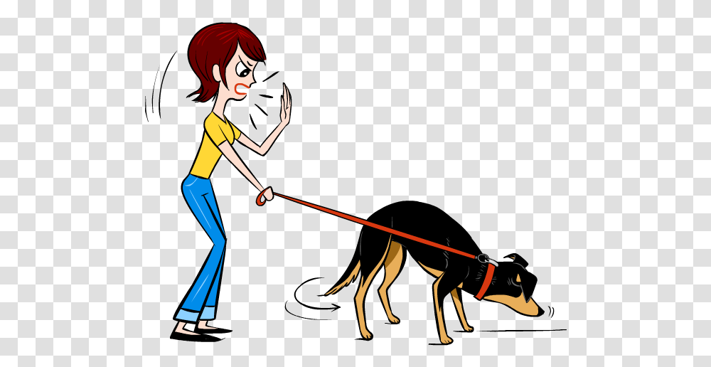 Dog Catches Something, Person, Human, Performer, Bow Transparent Png