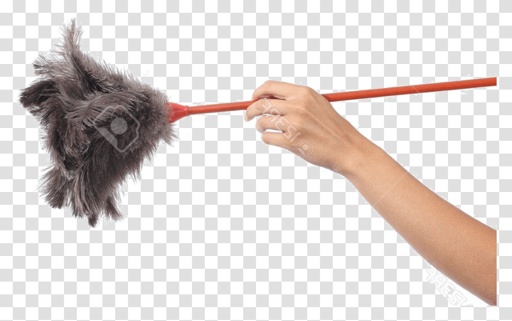 Dog Catches Something, Person, Human, Vulture, Bird Transparent Png