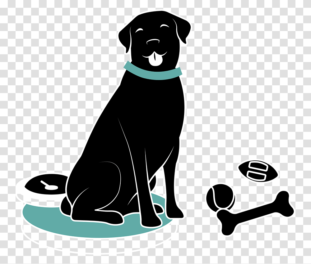 Dog Catches Something, Pet, Animal, Mammal, Canine Transparent Png