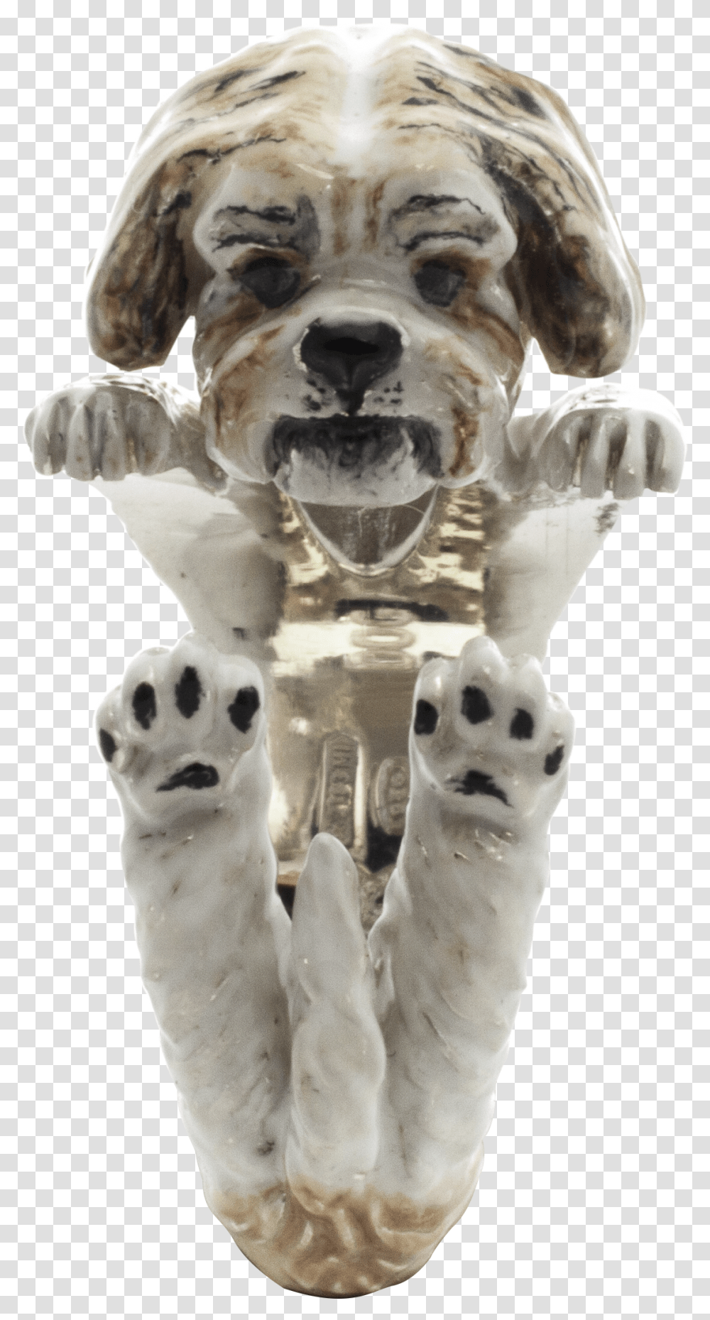 Dog Catches Something, Pet, Canine, Animal, Mammal Transparent Png