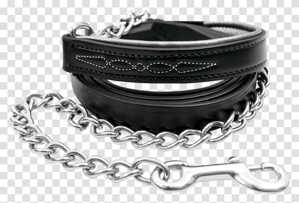 Dog Chain, Bracelet, Jewelry, Accessories, Accessory Transparent Png