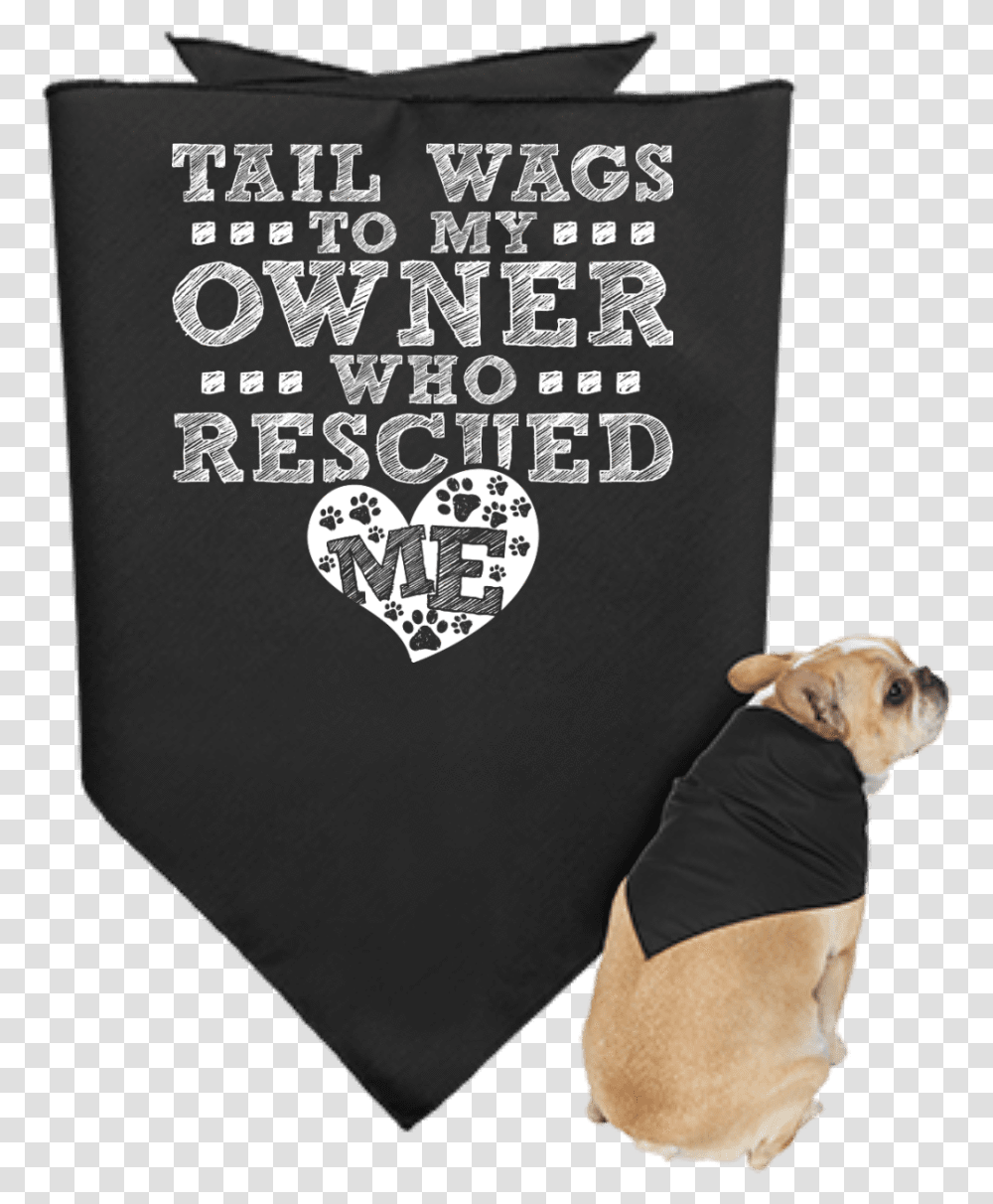 Dog, Sleeve, Long Sleeve, Book Transparent Png