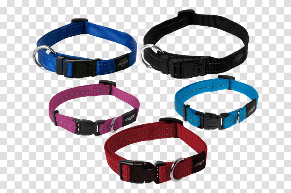 Dog Collar, Accessories, Accessory, Belt, Wristwatch Transparent Png