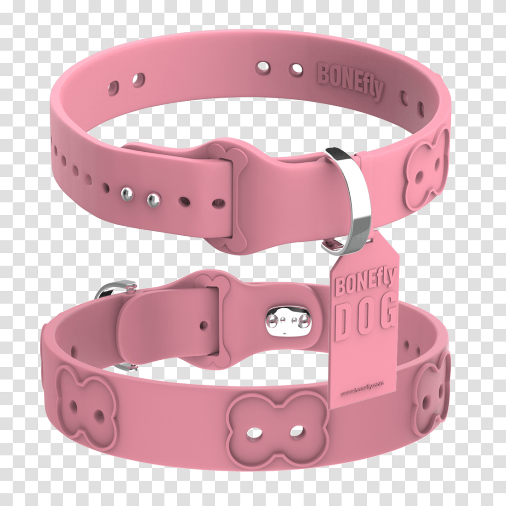 Dog Collar, Animals, Accessories, Accessory, Jacuzzi Transparent Png