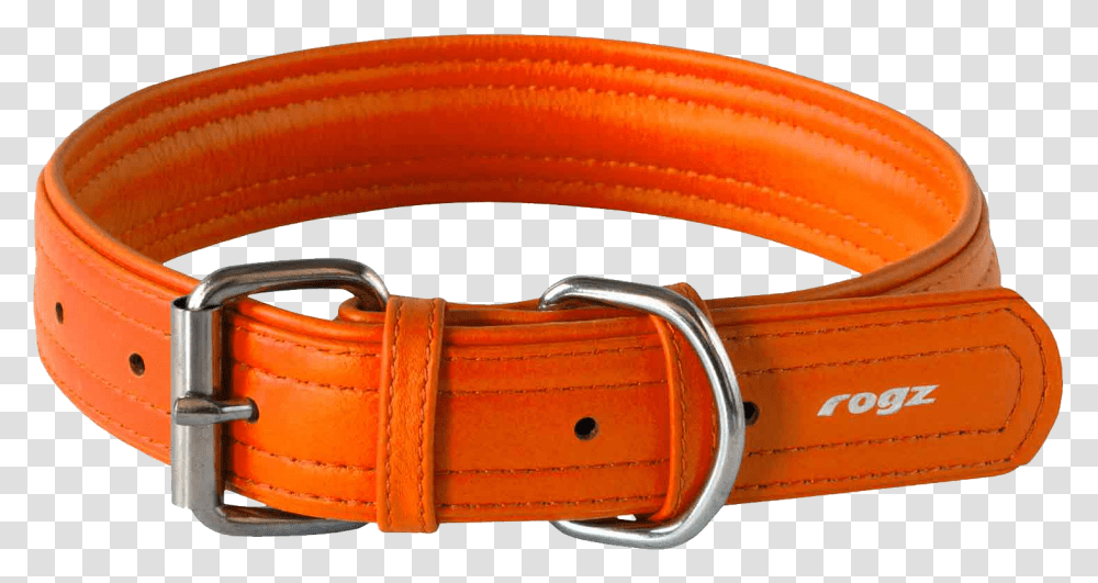 Dog Collar, Animals, Belt, Accessories, Accessory Transparent Png