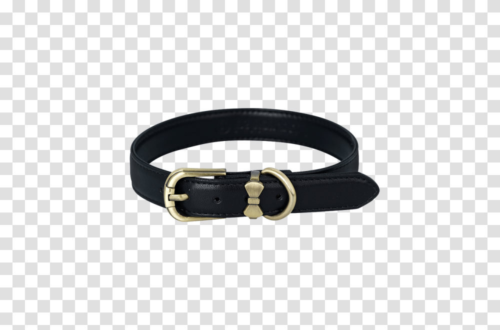 Dog Collar, Animals, Belt, Accessories, Accessory Transparent Png