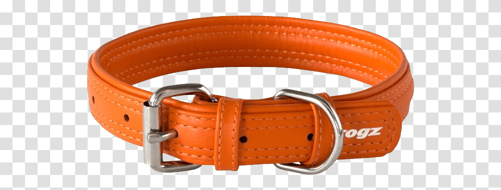 Dog Collar, Animals, Belt, Accessories, Accessory Transparent Png