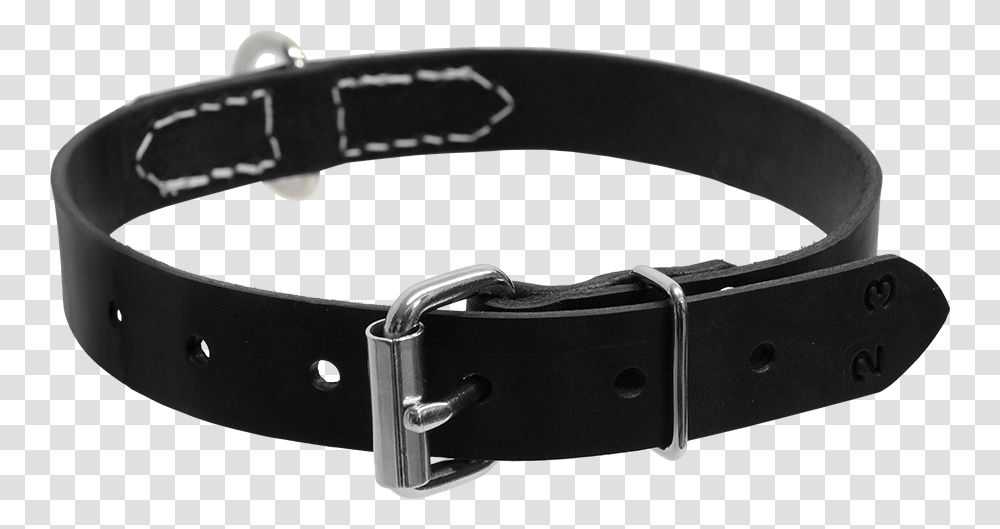 Dog Collar, Belt, Accessories, Accessory, Buckle Transparent Png