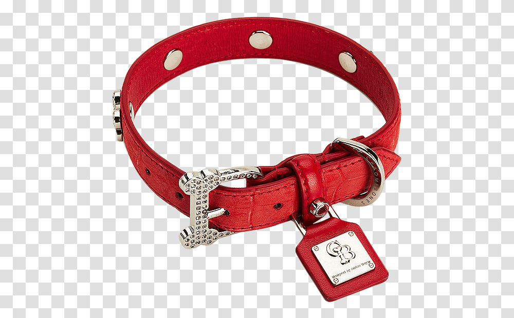 Dog Collar Photo Dog Collar, Belt, Accessories, Accessory Transparent Png