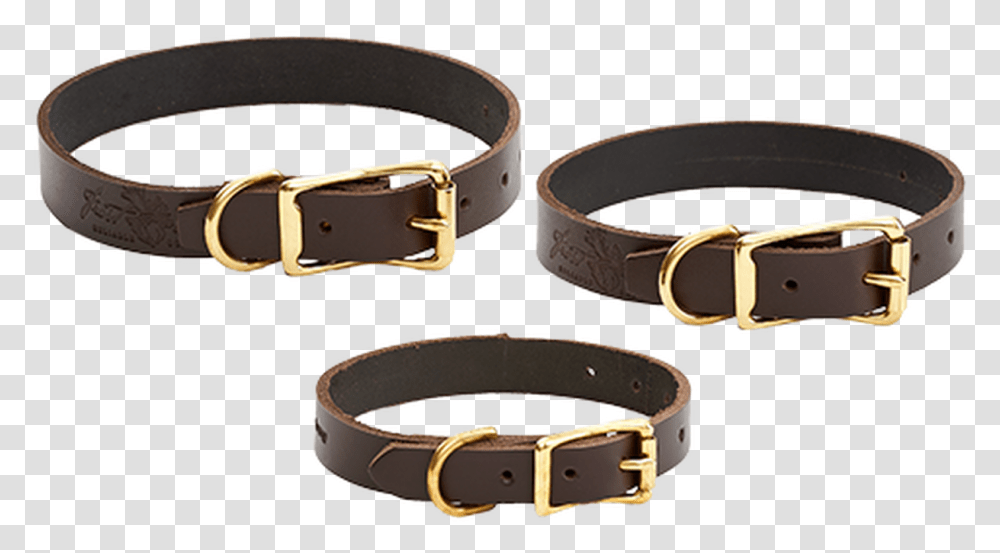 Dog Collars Buckle, Belt, Accessories, Accessory Transparent Png