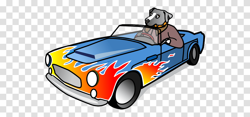 Dog Confirmation Smelling Skills Are So High To Observe Any Thing, Car, Vehicle, Transportation, Sports Car Transparent Png