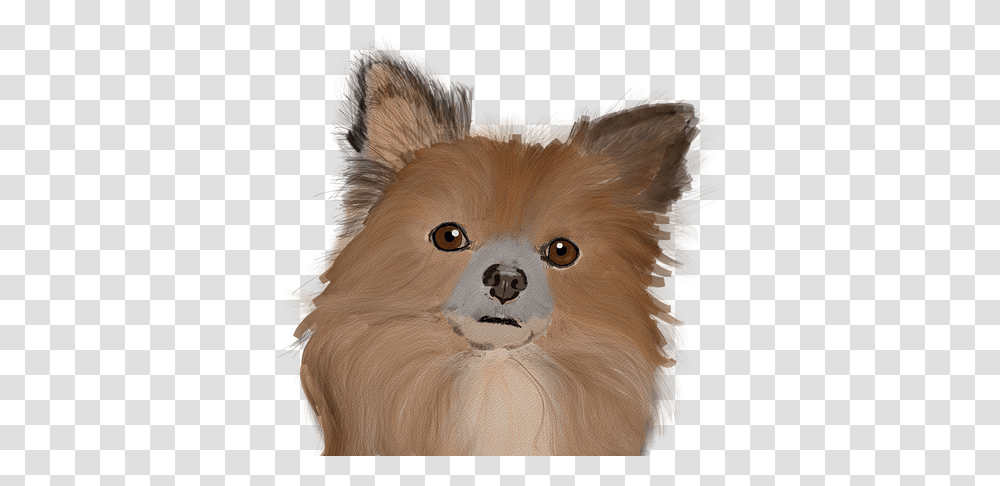 Dog Cute Animal Free Image On Pixabay Northern Breed Group, Mammal, Canine, Pet, Bird Transparent Png