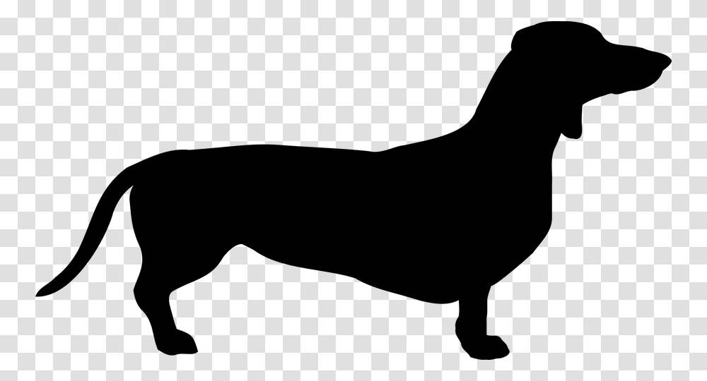 Dog Dachshund Breed Pet Coat Cricut Adventures, Gray, World Of Warcraft Transparent Png