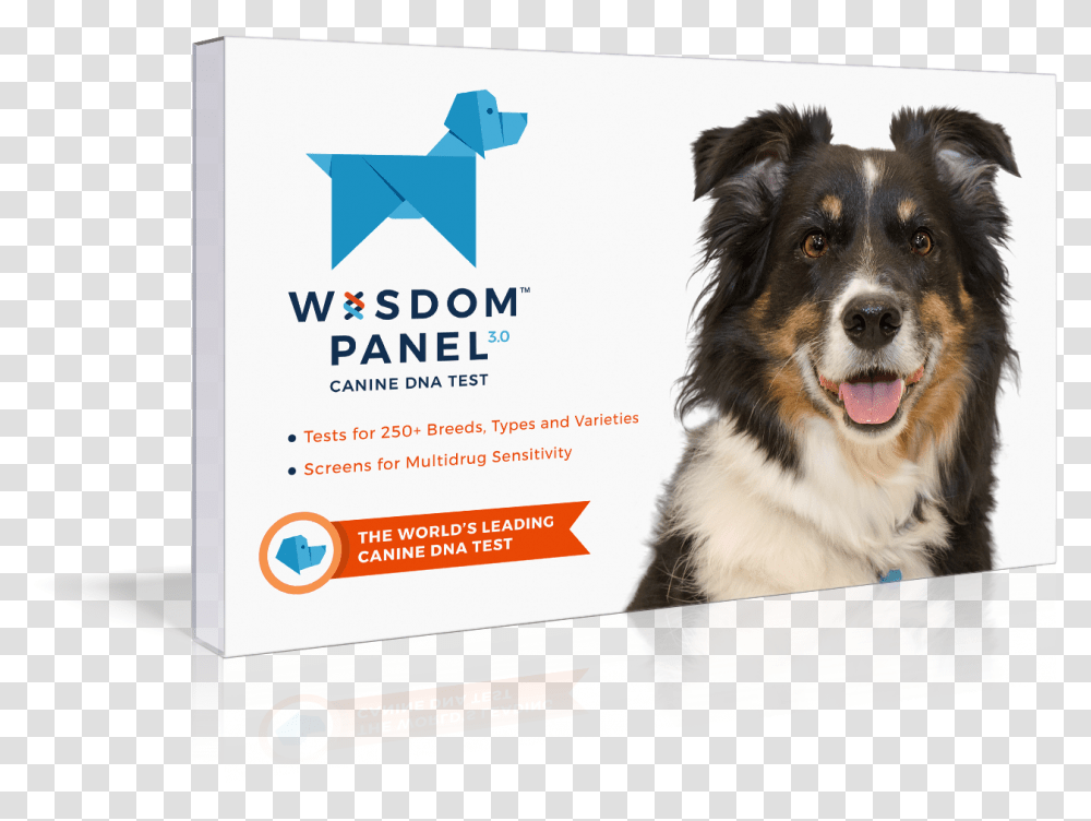 Dog Dna Test Kit, Pet, Canine, Animal, Mammal Transparent Png