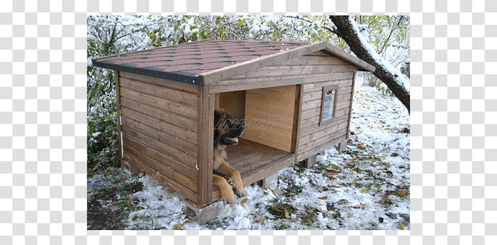 Dog, Dog House, Den, Kennel, Wood Transparent Png