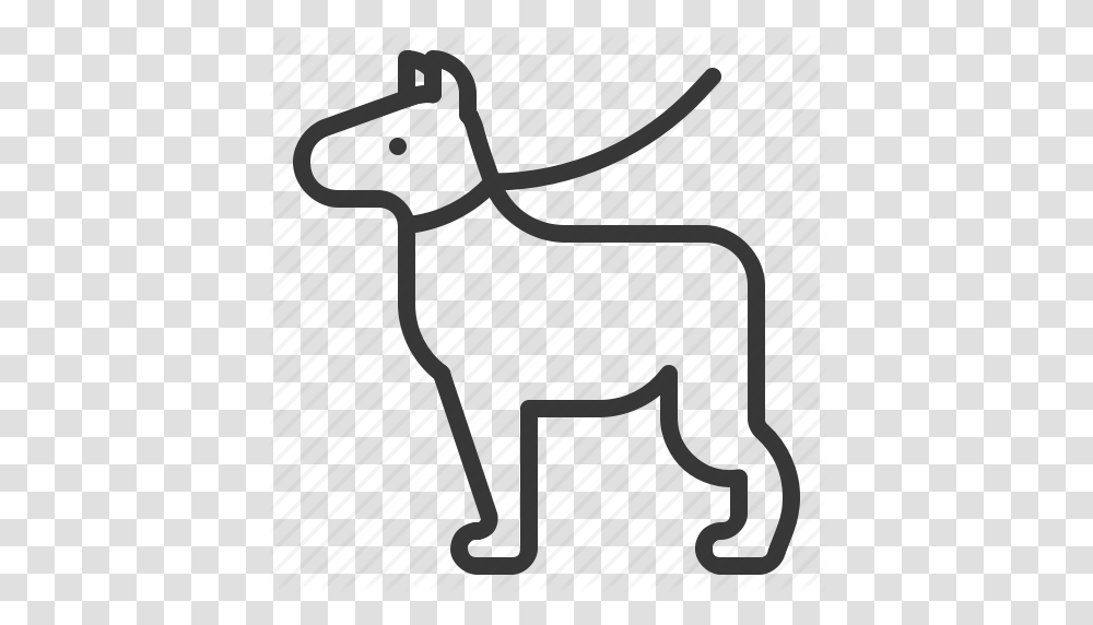 Dog Dog Leash Leash Pet Icon, Chair, Furniture, Bow Transparent Png