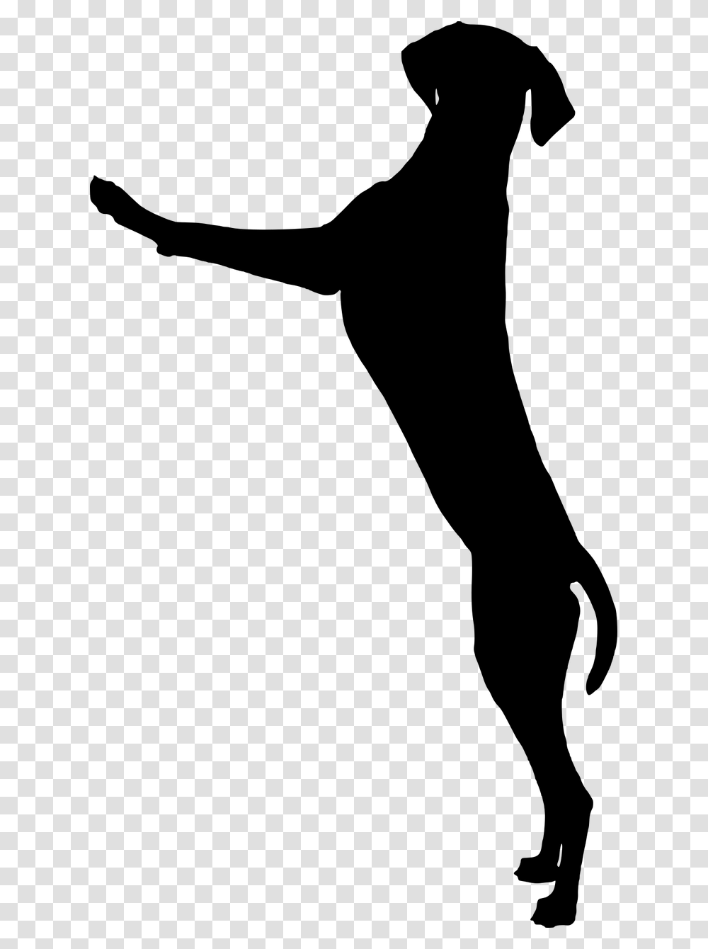 Dog Dog Standing Playing Silhouette, Gray, World Of Warcraft Transparent Png