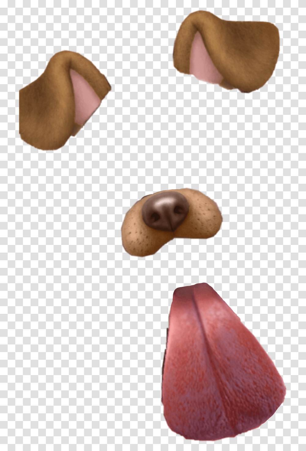 Dog Dogfilter Snapchat Snapchatfilter Tongueout Pictographic Writing System, Person, Lamp, Cutlery, Snail Transparent Png