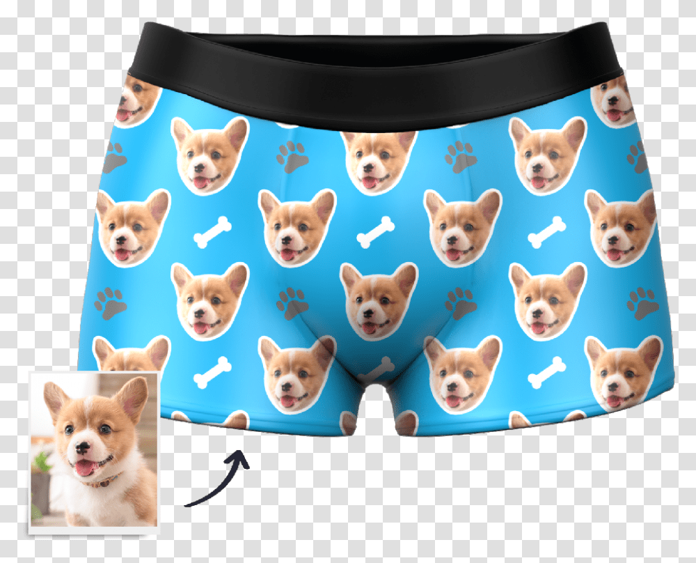 Dog Face Boxers Underwear, Pet, Canine, Animal, Mammal Transparent Png