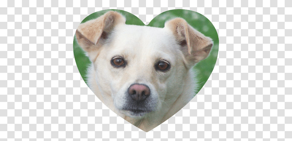 Dog Face Close Up Heart Shaped Mousepad Dog, Pet, Canine, Animal, Mammal Transparent Png
