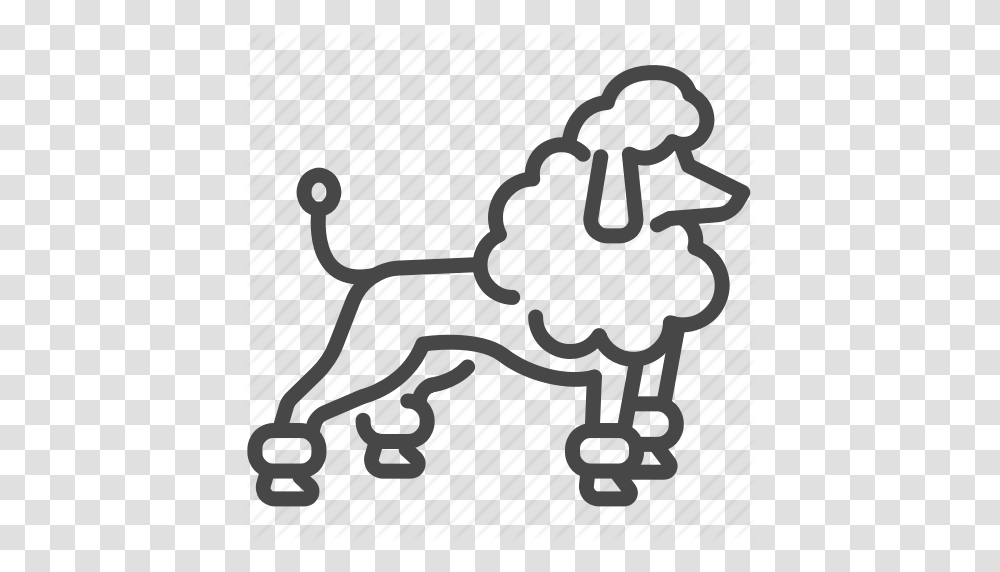Dog Fashion France French Pet Poodle Icon, Poster, Advertisement Transparent Png