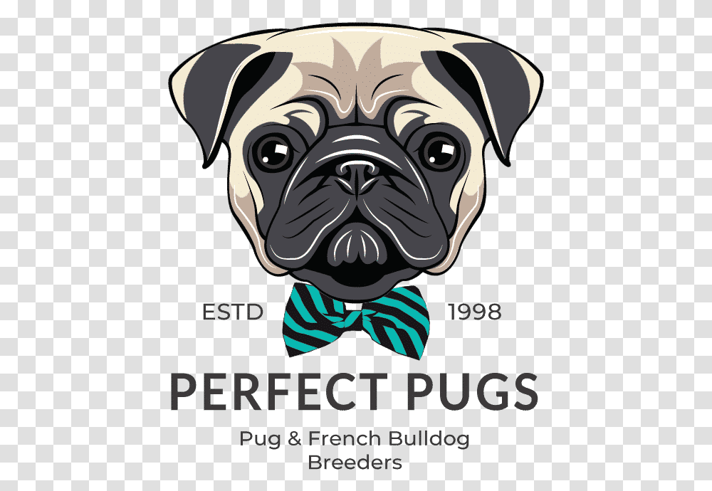 Dog Father Vector Pug Father's Day Card, Poster, Advertisement, Tie, Accessories Transparent Png