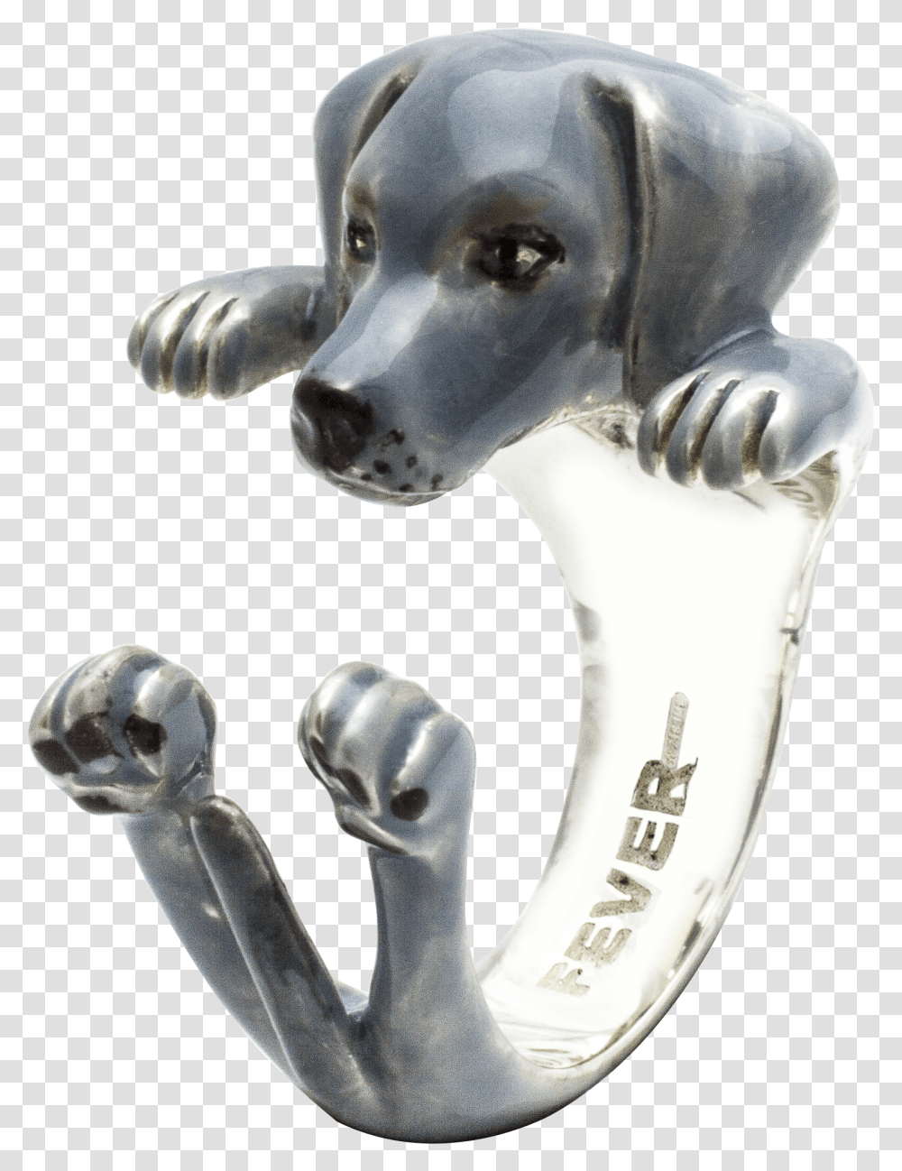Dog Fever Weimaraner, X-Ray, Medical Imaging X-Ray Film, Ct Scan, Alien Transparent Png
