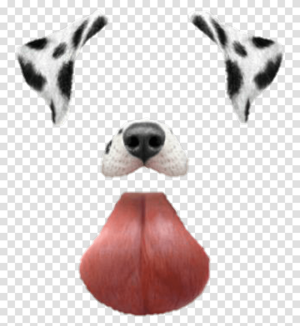 Dog Filter Filtros De Snapchat Perro, Mammal, Animal, Canine, Pet Transparent Png