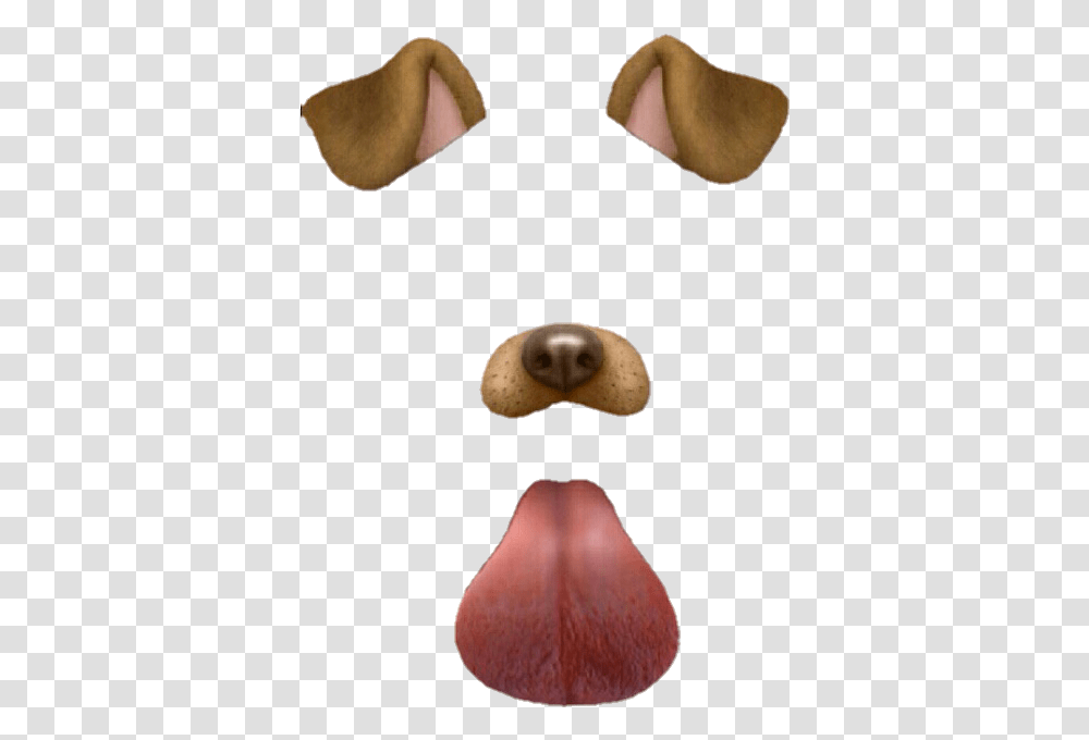 Dog Filter Snapchat Dog Filter, Mouth, Person, Accessories Transparent Png