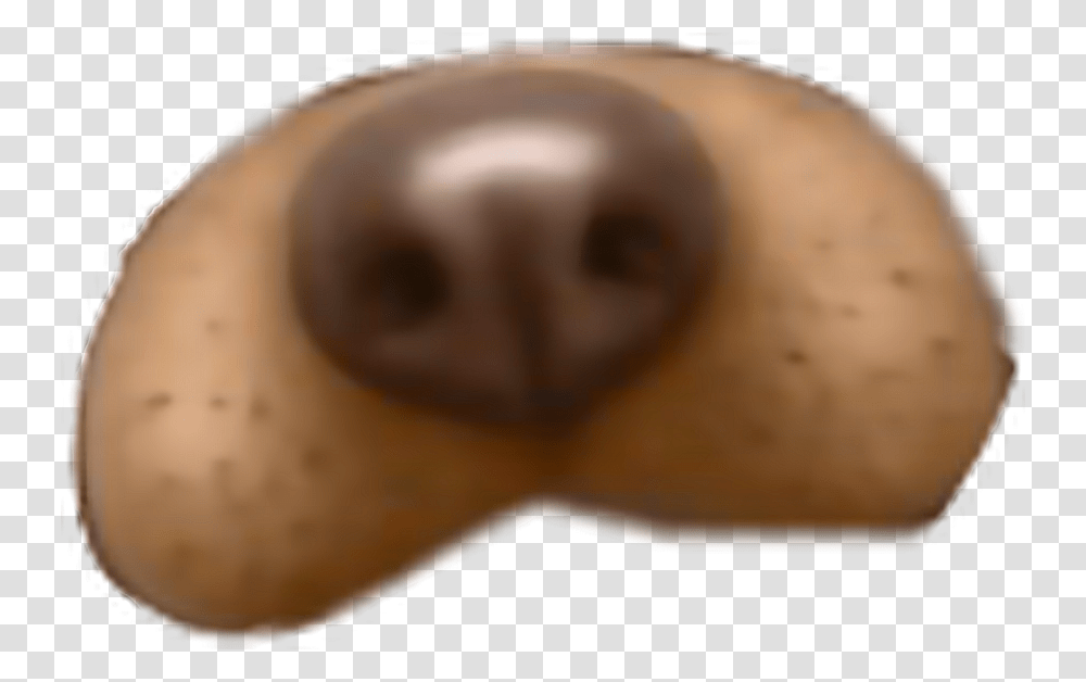 Dog Filter Snapchat Dogfilter Freetoedit Sapodilla, Snout, Egg, Food, Head Transparent Png