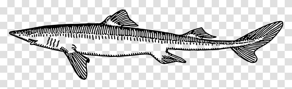 Dog Fish Black And White, Gray, World Of Warcraft Transparent Png
