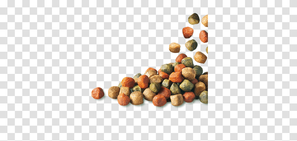 Dog Food, Animals, Plant, Sweets, Confectionery Transparent Png
