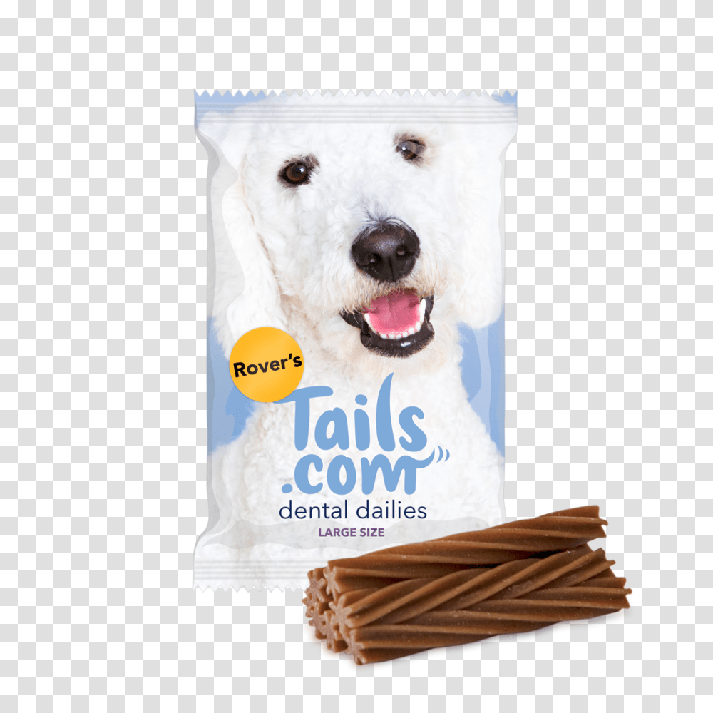 Dog Food Dog Breed Puppy Chew Toy, Pet, Animal, Canine, Mammal Transparent Png