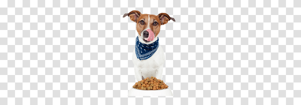 Dog Food Paringa Pet Foods, Apparel, Headband, Hat Transparent Png