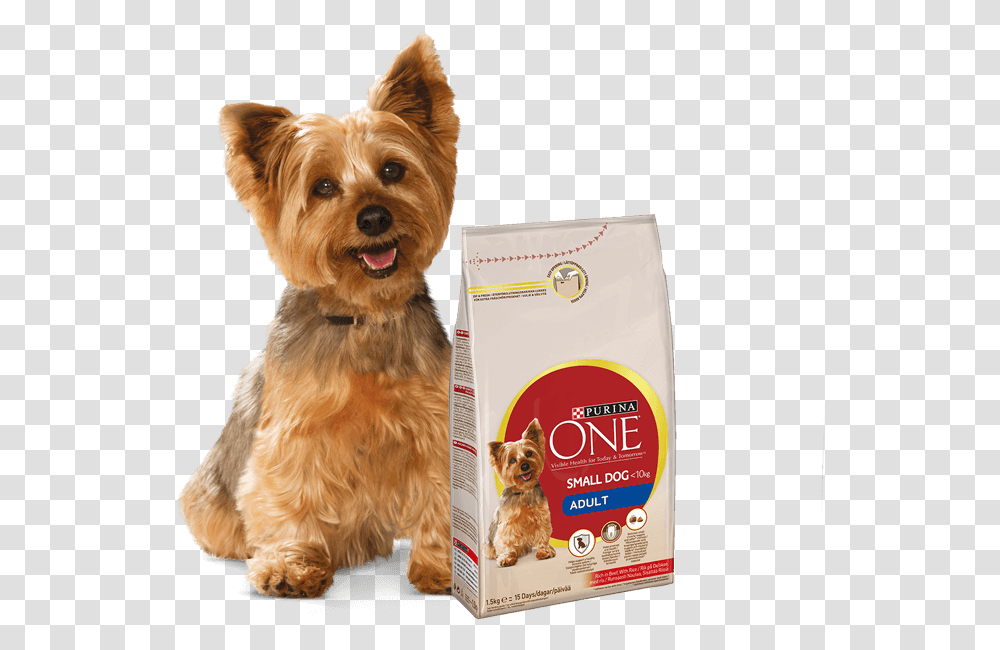 Dog Food Purina One Mini Dog, Pet, Canine, Animal, Mammal Transparent Png