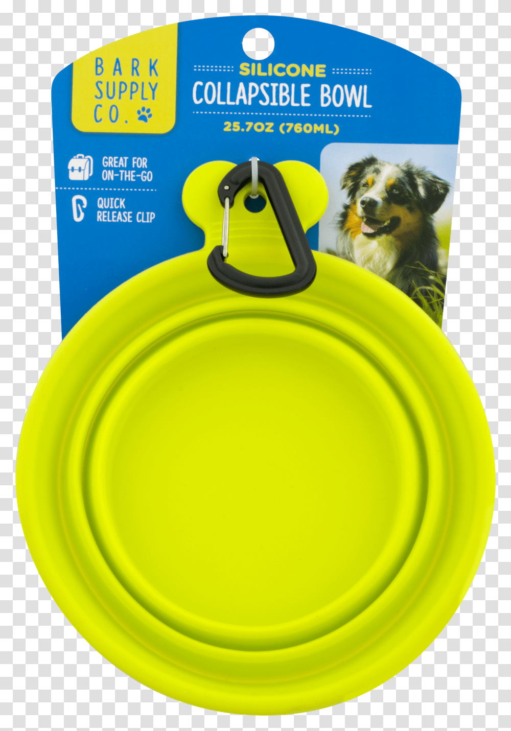 Dog, Frisbee, Toy, Pet, Canine Transparent Png