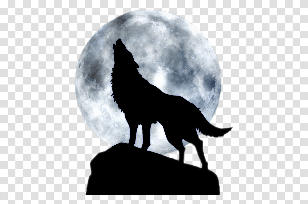 Dog Full Moon T Shirt Black Wolf Wolf Howling At The Moon, Nature, Outdoors, Outer Space, Night Transparent Png