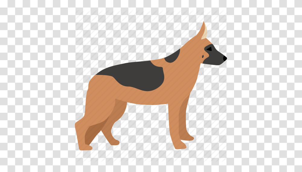 Dog German German Shepherd Guard Hound Shepherd Training Icon, Pet, Animal, Canine, Mammal Transparent Png