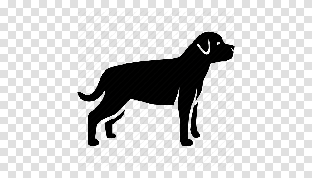 Dog German Guard Hound Kennel Pet Rottweiler Icon, Mammal, Animal, Wildlife, Piano Transparent Png