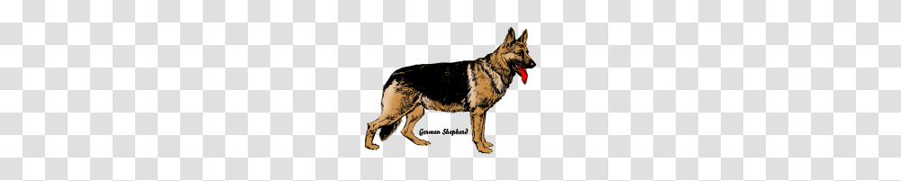 Dog German Shepherd, Wolf, Mammal, Animal, Panther Transparent Png