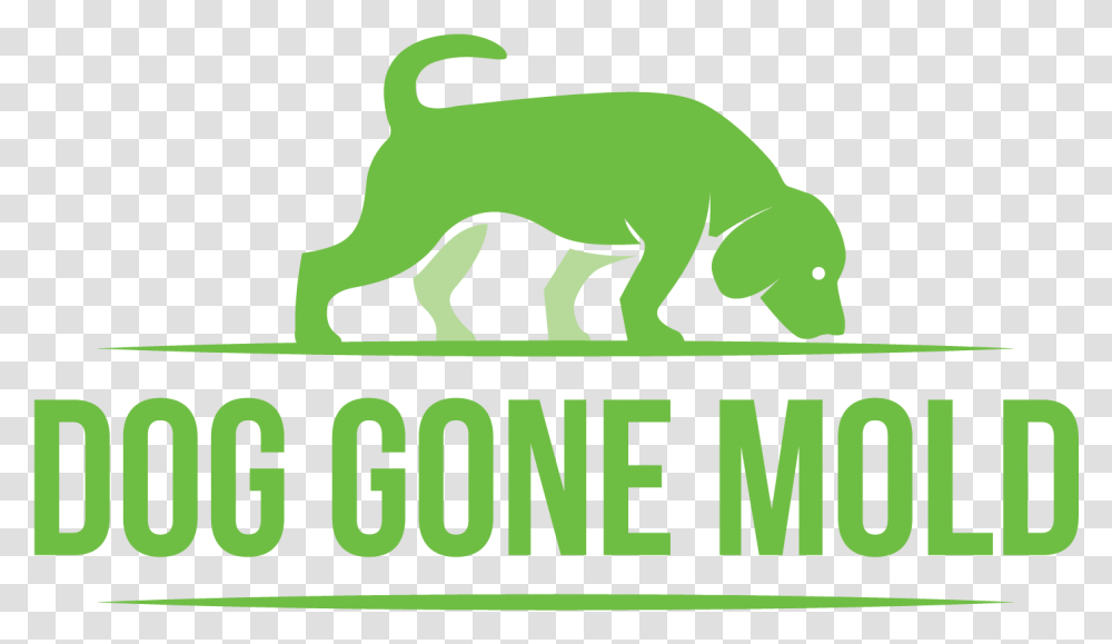 Dog Gone Mold Dallas Logo Unsub Meg Gardiner, Animal, Reptile, Gecko, Lizard Transparent Png