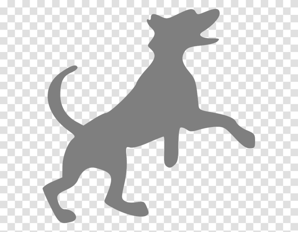 Dog Grey Canine Happy Jumping Do We Hear Sound, Animal, Mammal, Person, Human Transparent Png