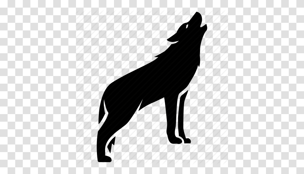 Dog Grey Howling Pack Timber Wild Wolf Icon, Silhouette, Apparel, Shoe Transparent Png