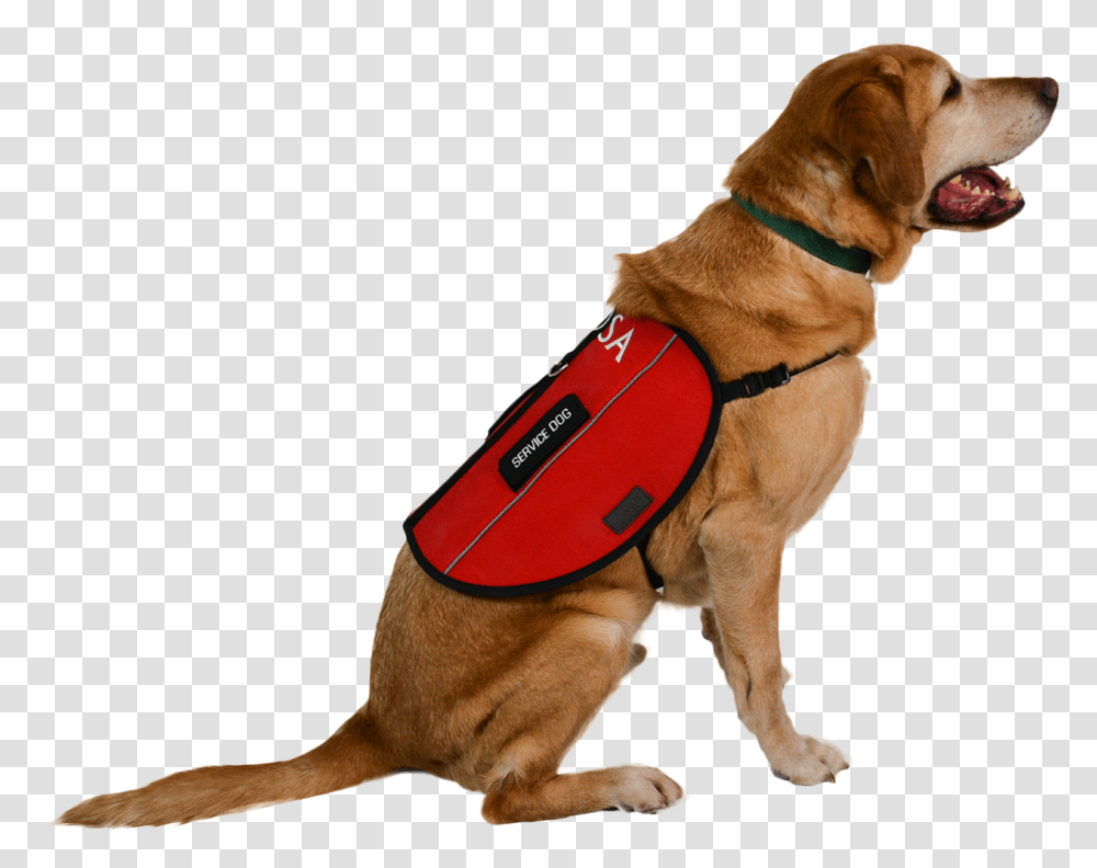 Dog Harness Leash Emotional Support Service Dog, Pet, Canine, Animal, Mammal Transparent Png