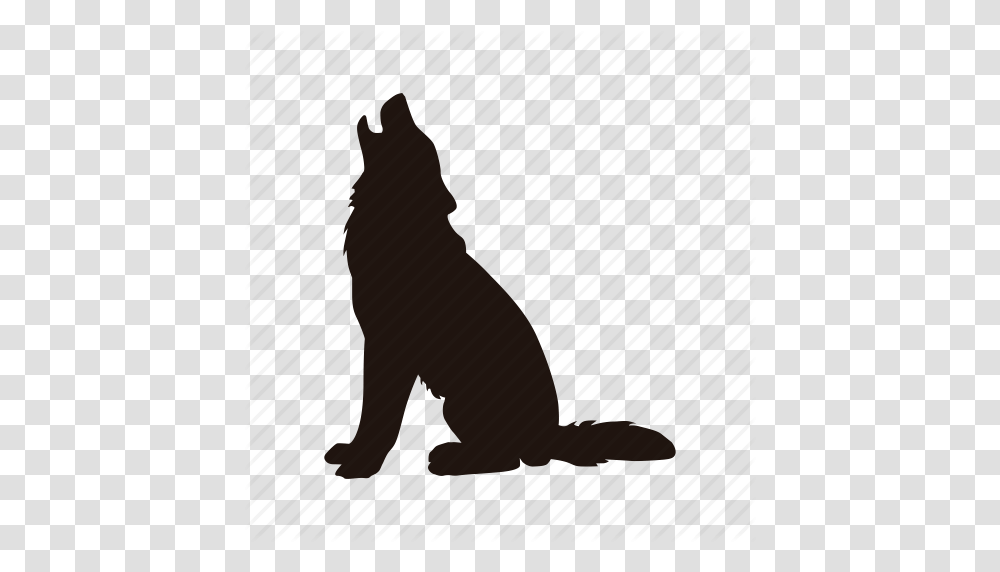 Dog Howl Wolf Zoo Icon, Animal, Mammal, Standing, Wildlife Transparent Png